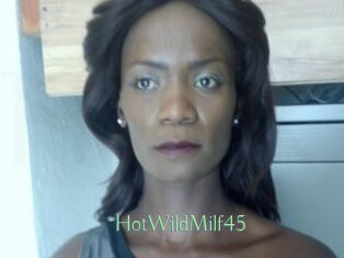 HotWildMilf45