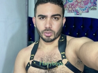 Hairyboyx