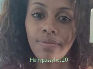 Hairypussyhot20