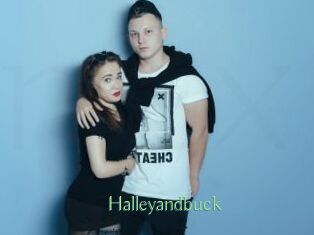 Halleyandbuck