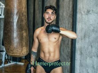 Hamerprotector