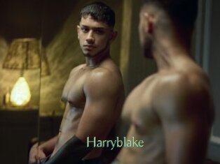 Harryblake