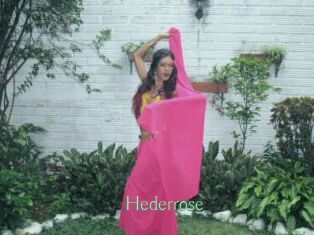 Hederrose