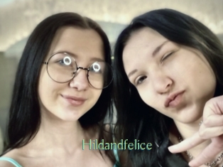 hildandfelice Motion X
