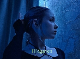 hildgarrett Motion X