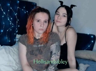 Hollisandsibley