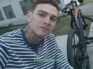 Homerocock