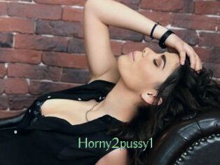 Horny2pussy1