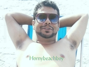 Hornybeachboy
