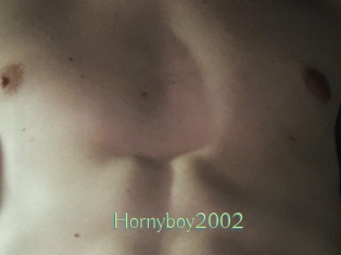 Hornyboy2002