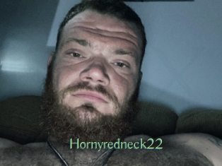 Hornyredneck22