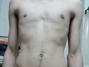Hornysam
