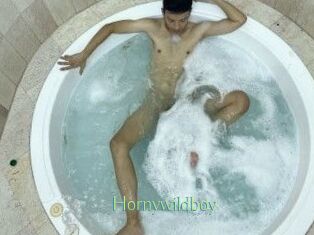 Hornywildboy