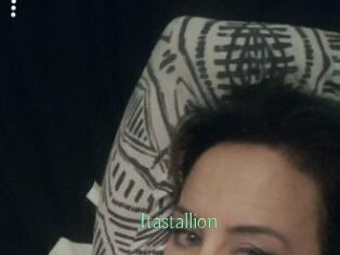 Itastallion
