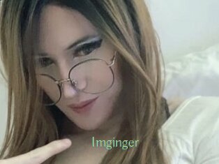 Imginger
