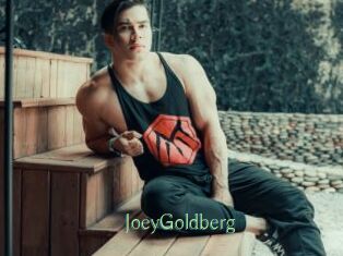 JoeyGoldberg