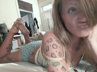 Jaybug
