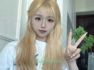 Junkocece