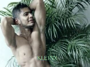 KLEINX