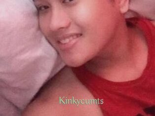 Kinkycum_ts