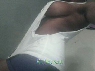 Kitt_The_Katt