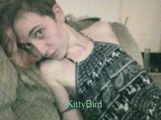 KittyBird