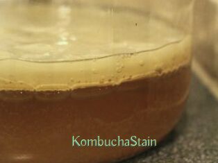 KombuchaStain