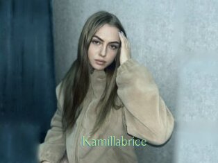 Kamillabrice