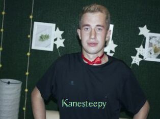 Kanesteepy