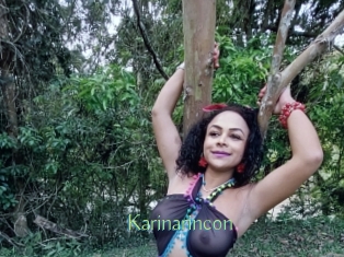 karinarincon Motion X