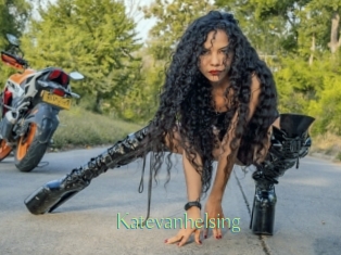 katevanhelsing Motion X