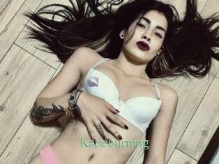 Katieburning