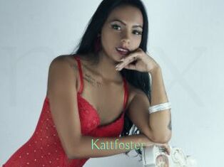 Kattfoster