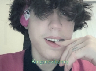 Kingsnowbunny