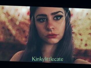 Kinkylittlecate