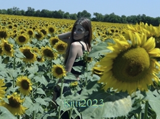 Kitti2023