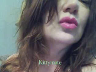 Kittymate