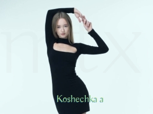 Koshechka_a