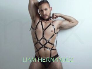 LIAM_HERNANDEZ