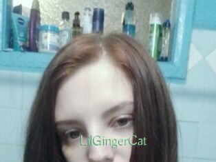 LilGingerCat