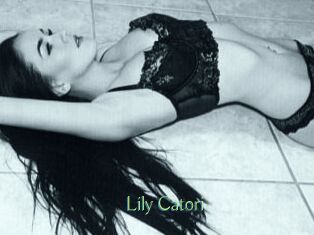 Lily_Catori