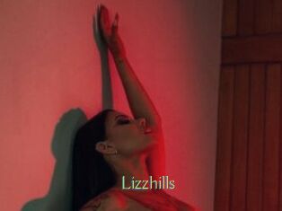 Lizzhills