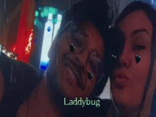 Laddybug