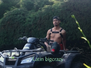 Latin_bigcrazy