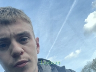 leebean Motion X