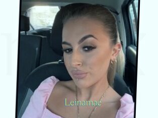 Leinamae