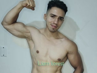 Liam_forest