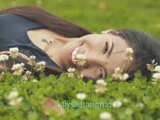 Lilysaetangmd