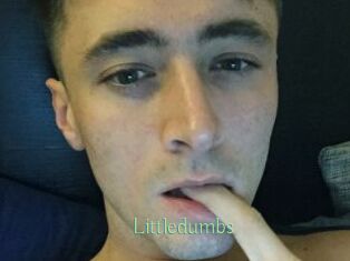 Littledumbs