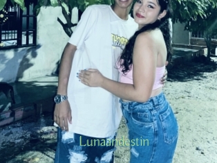 Lunaandestin